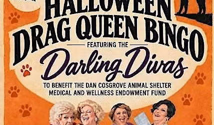 Halloween Drag Queen Bingo