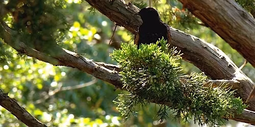 Visual Composition Seminar : Feb 14 , Saturday  11:00 AM- 1:15 PM