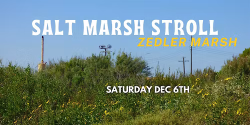 Los Cerritos Wetlands Nature Walk : Salt Marsh Stroll