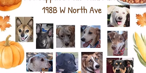 Barksgiving Adoption Event