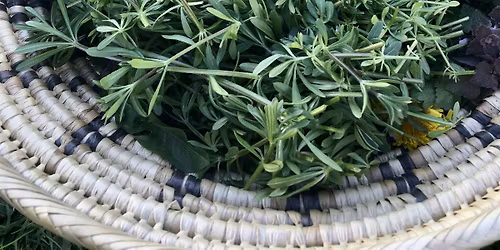 Edible Spring Greens - Weedy and Wild Foods