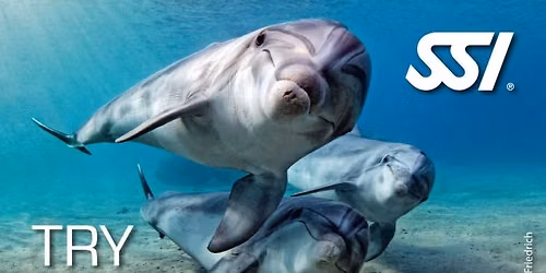 Try SCUBA