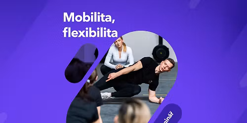 Mobilita, Flexibilita \/ Brno