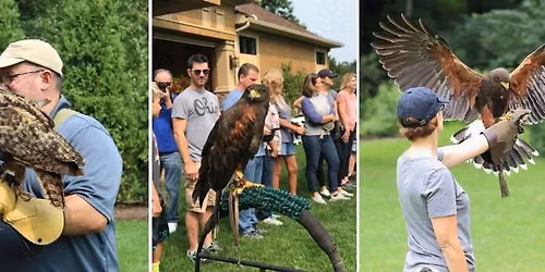 Fly With Falcons! - RESCHEDULED DATE