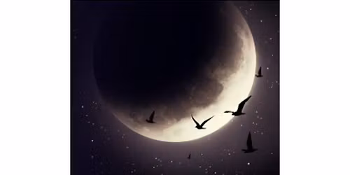 NEW MOON  - DEEP CONNECTION CIRCLE