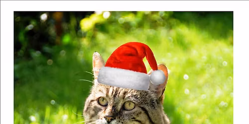 Badger Xmas Party - Haslingden