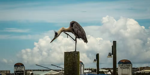 Landscape & Wildlife Photography