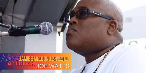 Jazz in the Park with Joe Watts