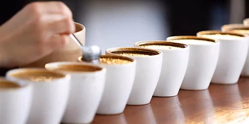 Coffee Know How : Cupping Class