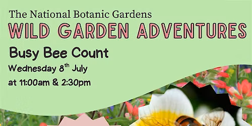 Wild Garden Adventures: Busy Bee Count