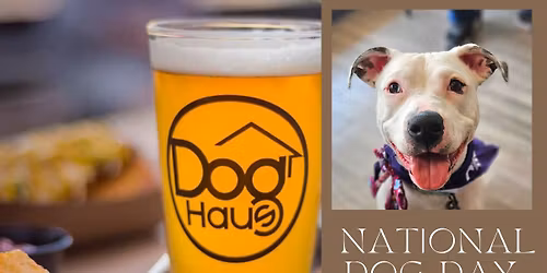 MAKE A DIFFERENCE with DOG HAUS