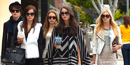 Cinema at the Museum: The Bling Ring