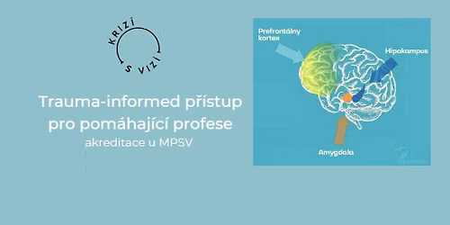 Trauma informed p\u0159\u00edstup pro pom\u00e1haj\u00edc\u00ed profese