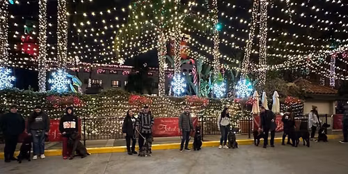 \ud83d\udc3e Cane Corso Meetup\u00ae \u2013 Christmas lights at the Mission Inn, Riverside