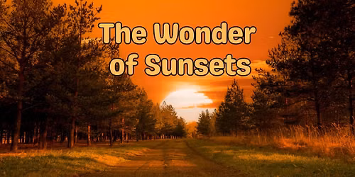 Wednesday Wonder Walk