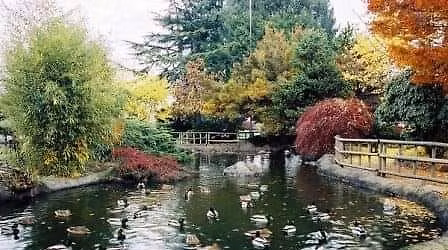 Service Event: Park Clean-Up 