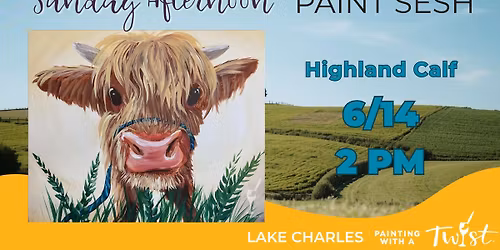 Sunday Afternoon Paint Sesh! Highland Calf