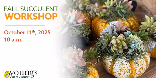 Fall Succulent Pumpkin 