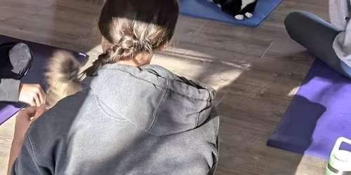 Special 'Big Stretch' Yoga class with cats