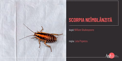 SCORPIA NE\u00ceMBL\u00c2NZIT\u0102
