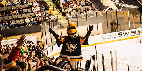Pittsburgh Penguins Night