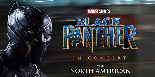  Marvel Studios' Black Panther in Concert