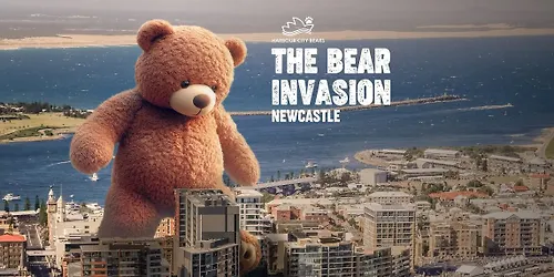 Bear Invasion Newcastle