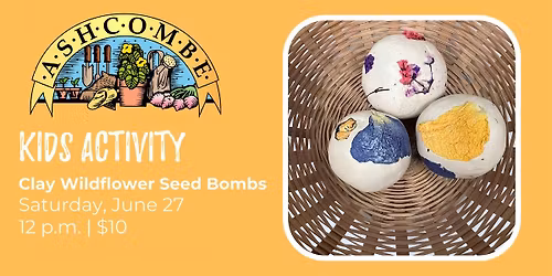 Clay Wildflower Seed Bombs