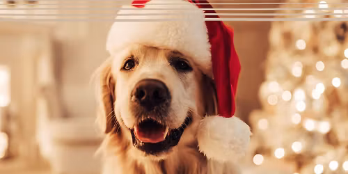 Santa Pet Photos at Silverdale Mall