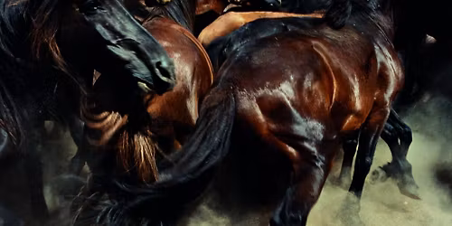 Manolo Garcia Pamplona Tickets