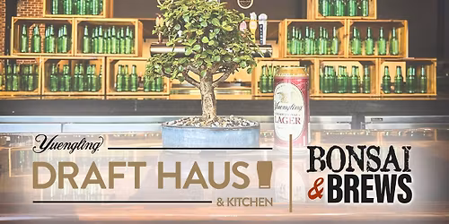 Bonsai & Brews at Yuengling Draft Haus Tampa
