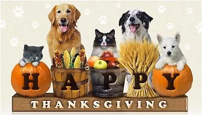 Pet Food Distribution 