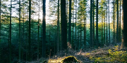 Sorrows of the World - A Grief Tending Day for Planet, People & the More-Than-Human World