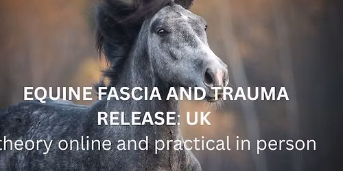 EQUINE FASCIA & TRAUMA RELEASE, 