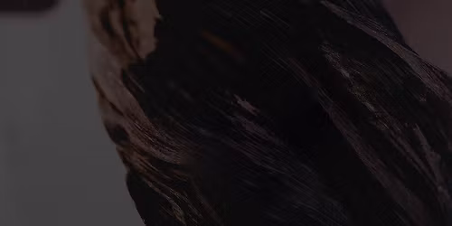 Pixies in \u6e2f\u533a