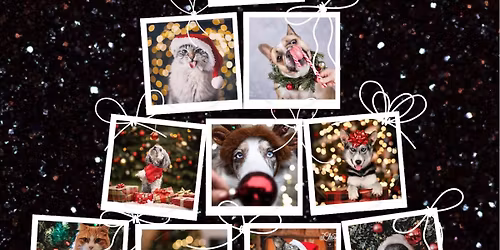 Howlidays Photoshoot at The Lucky Paw!