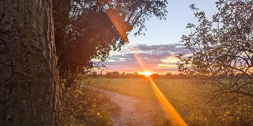 International Dawn Chorus Day