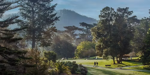 Parking Sony Open - Sunday