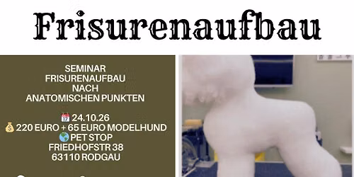 Frisuraufbau mit Azra Maurer