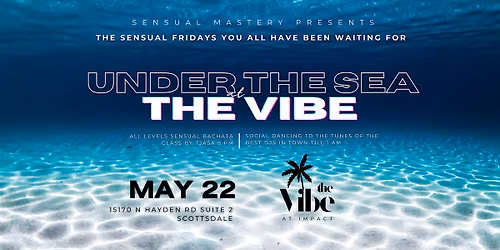 The Vibe at Impact