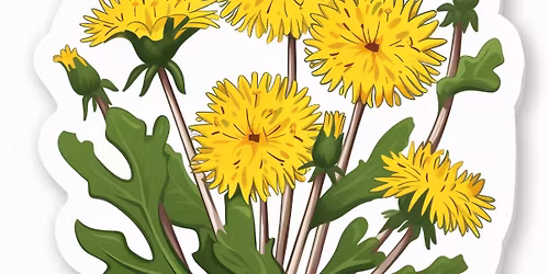 Nyitott nap a Pitypang Tag\u00f3vod\u00e1ban