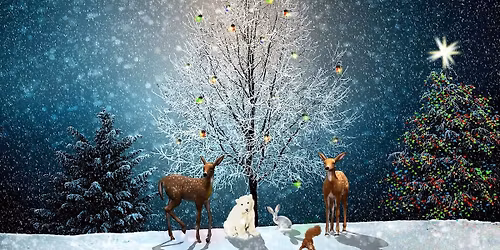 Christmas Open House - Hosted by Friends of Abrams Park