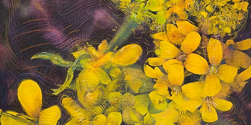 \u00abDuftende bedrag\u00bb av Shwan Dler Qaradaki - \u00c5pning! GalleryLab x Mes\u00e9n 