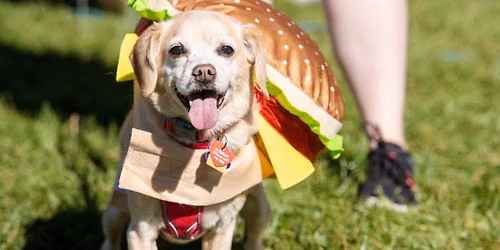 Spooky Pet Parade