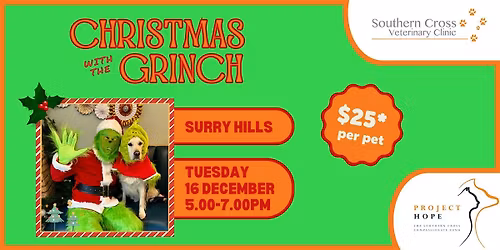 Charity Christmas Photos with the Grinch at SCV Surry Hills