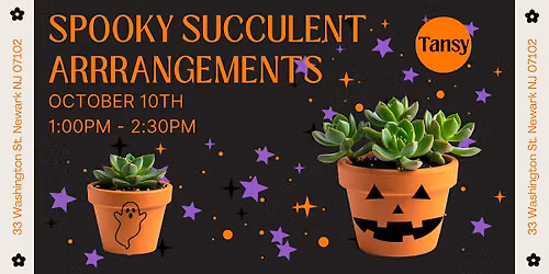Spooky Succulent Arrangements