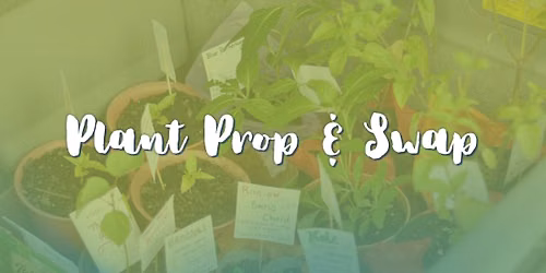 Plant Prop & Swap