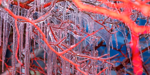 Kunstersamtale mellom Charlotte Wiig og Jan Christensen