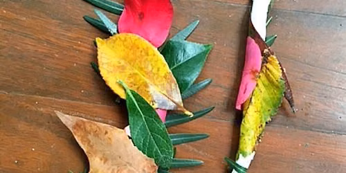 Free Wednesday Family Activity- Nature Wands