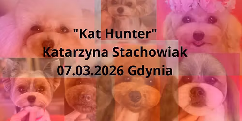 !\u2702\ufe0fKAT HUNTER - Katarzyna Stachowiak\u2702\ufe0f! Perfekcyjne g\u0142\u00f3wki\u2665\ufe0f\u2702\ufe0fGDYNIA\u2702\ufe0f!